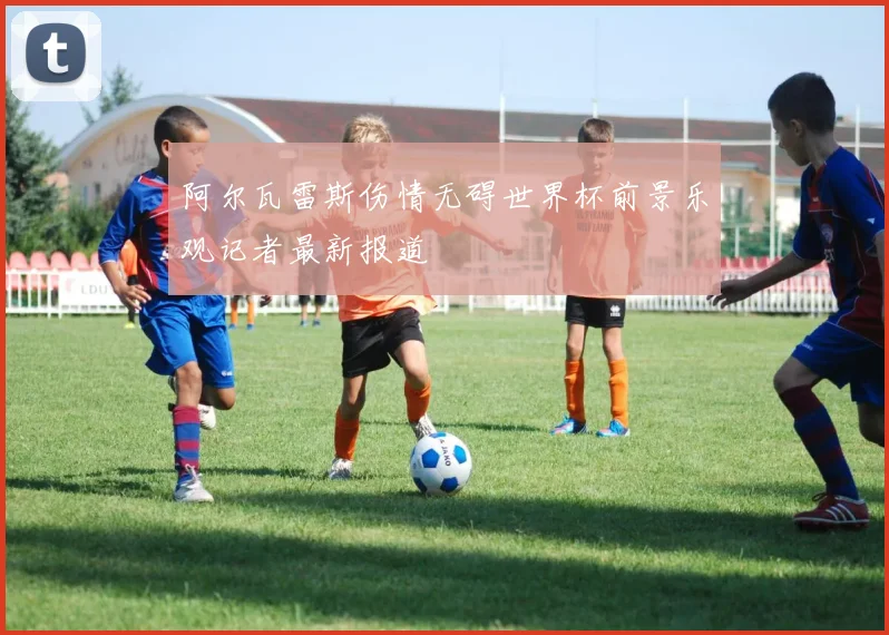 阿尔瓦雷斯伤情无碍世界杯前景乐观记者最新报道
