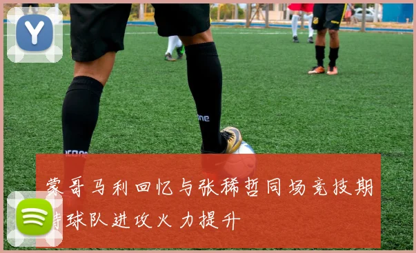 蒙哥马利回忆与张稀哲同场竞技期待球队进攻火力提升